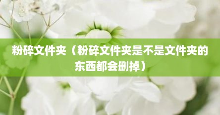 粉碎文件夹（粉碎文件夹是不是文件夹的东西都会删掉）