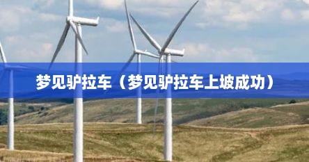 梦见驴拉车（梦见驴拉车上坡成功）