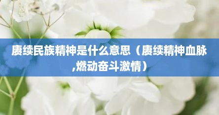 赓续民族精神是什么意思（赓续精神血脉,燃动奋斗激情）