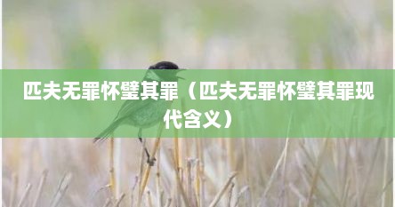 匹夫无罪怀璧其罪（匹夫无罪怀璧其罪现代含义）