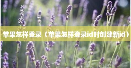 苹果怎样登录（苹果怎样登录id时创建新id）