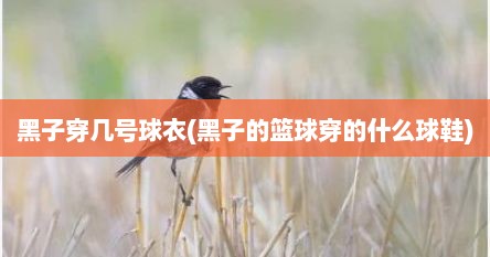 黑子穿几号球衣(黑子的篮球穿的什么球鞋)