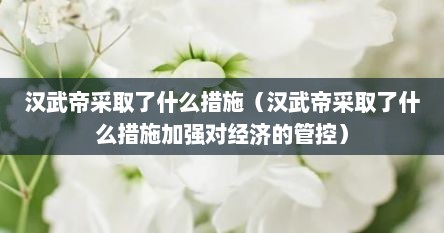 汉武帝采取了什么措施（汉武帝采取了什么措施加强对经济的管控）