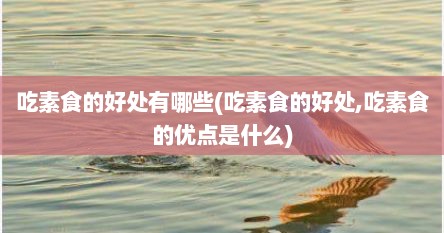 吃素食的好处有哪些(吃素食的好处,吃素食的优点是什么)