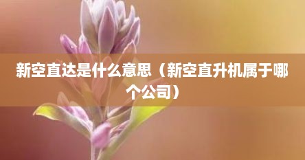 新空直达是什么意思（新空直升机属于哪个公司）