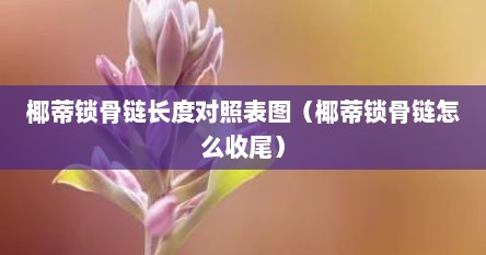 椰蒂锁骨链长度对照表图（椰蒂锁骨链怎么收尾）