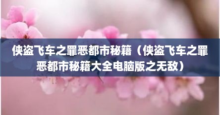 侠盗飞车芝罪恶都市秘籍（侠盗飞车芝罪恶都市秘籍大全电脑版芝无敌）