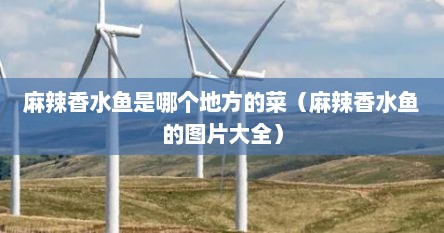 麻辣香水鱼是哪个地方的菜（麻辣香水鱼的图片大全）