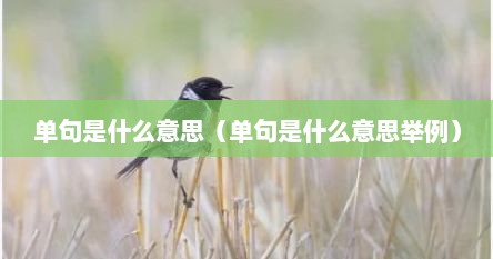 单句是什么意思（单句是什么意思举例）
