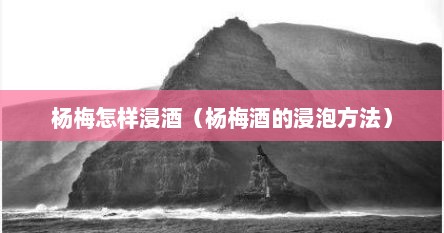 杨梅怎样浸酒（杨梅酒的浸泡方法）