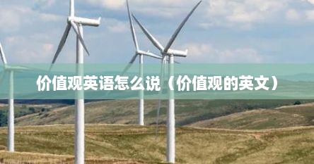 价值观英语怎么说（价值观的英文）