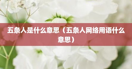 五条人是什么意思（五条人网络用语什么意思）