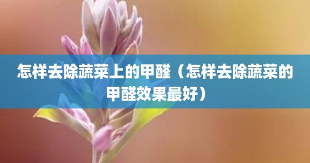 怎样去除蔬菜上的甲醛（怎样去除蔬菜的甲醛效果最好）