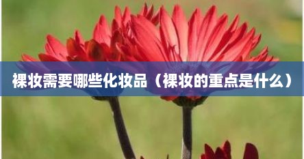 裸妆需要哪些化妆品（裸妆的重点是什么）