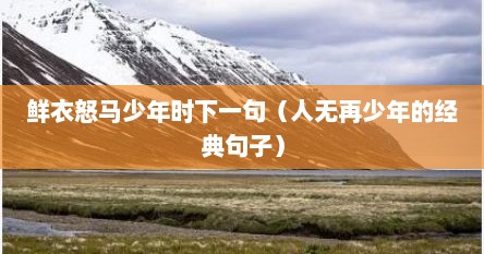 鲜衣怒马少年时下一句（人无再少年的经典句子）