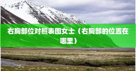 右胸部位对照表图女士（右胸部的位置在哪里）