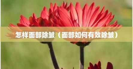 怎样面部除皱（面部如何有效除皱）