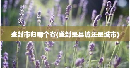 登封市归哪个省(登封是县城还是城市)