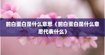前白蛋白是什么意思（前白蛋白是什么意思代表什么）
