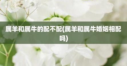 属羊和属牛的配不配(属羊和属牛婚姻相配吗)