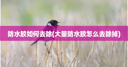 防水胶如何去除(大量防水胶怎么去除掉)