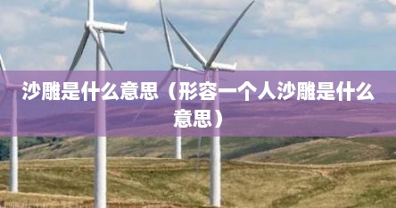 沙雕是什么意思（形容一个人沙雕是什么意思）