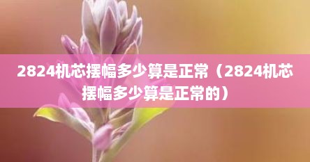 2824机芯摆幅多少算是正常（2824机芯摆幅多少算是正常的）
