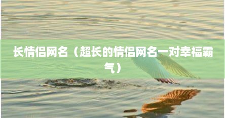 长情侣网名（超长的情侣网名一对幸福霸气）
