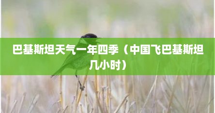巴基斯坦天气一年四季（中国飞巴基斯坦几小时）