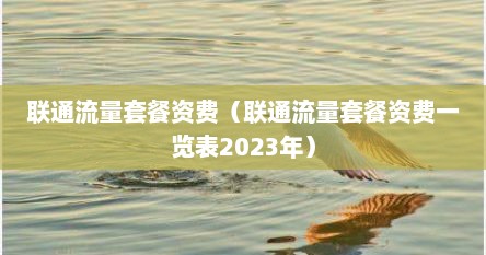 联通流量套餐资费（联通流量套餐资费一览表2023年）