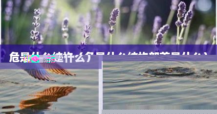 危字属于什么结构的字（危字什么结构的字）