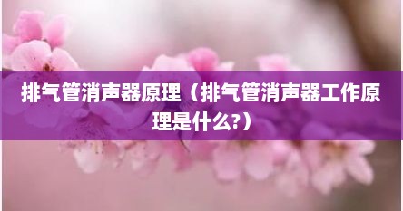 排气管消声器原理（排气管消声器工作原理是什么?）