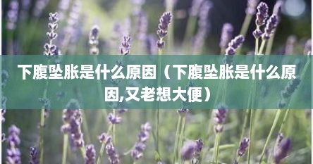 下腹坠胀是什么原因（下腹坠胀是什么原因,又老想大便）