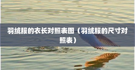 羽绒服的衣长对照表图（羽绒服的尺寸对照表）