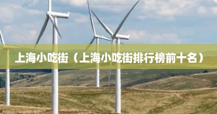 上海小吃街（上海小吃街排行榜前十名）