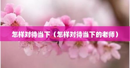 怎样对待当下（怎样对待当下的老师）
