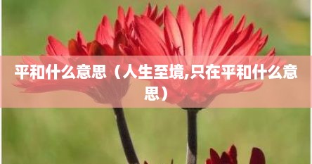 平和什么意思（人生至境,只在平和什么意思）