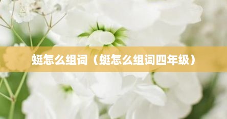 蜓怎么组词（蜓怎么组词四年级）