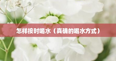 怎样按时喝水（真确的喝水方式）