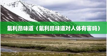 氟利昂味道（氟利昂味道对人体有害吗）