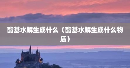 酯基水解生成什么（酯基水解生成什么物质）