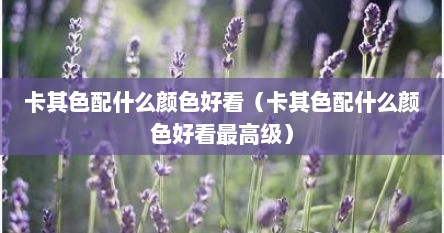 卡其色配啥颜色(卡其色配啥颜色好看) 卡其色配啥颜色(卡其色配啥颜色好看)