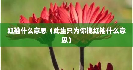 红袖什么意思（此生只为你挽红袖什么意思）