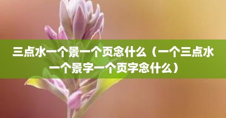 三点水一个景一个页念什么（一个三点水一个景字一个页字念什么）