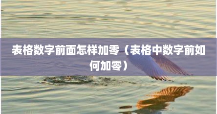 表格数字前面怎样加零（表格中数字前如何加零）