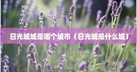 日光城城是哪个城市（日光城是什么城）