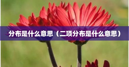 分布是什么意思（二项分布是什么意思）