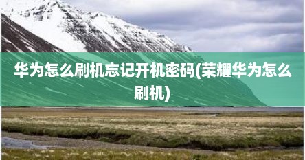 华为怎么刷机忘记开机密码(荣耀华为怎么刷机)