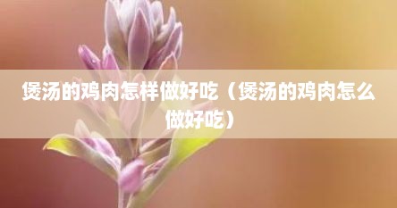 煲汤的鸡肉怎样做好吃（煲汤的鸡肉怎么做好吃）