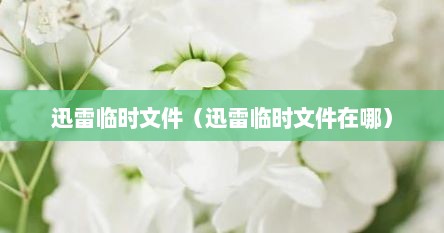 迅雷临时文件（迅雷临时文件在哪）